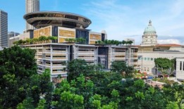 男子因性侵妻子被判入狱，鞭刑，这是自婚内强奸豁免被废除以来的首例此类案件