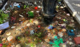 纽约居民集会要求让金鱼在消火栓水坑里游过冬天，活动人士称这是虐待动物