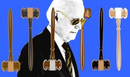 拜登为法院带来了多样性选民会因此奖励他吗？