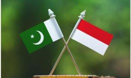 巴基斯坦和印尼45亿美元双边贸易额未达到潜力需要进一步增加：拉赫马特·欣迪亚塔