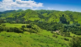 这幅著名的漫画描绘了一片田园般的天堂