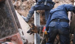 尼科尔公路坍塌：20年过去了，同事们记住了为救人而牺牲的“英雄恒”