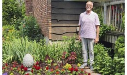 即使没有健康益处，志愿服务也会让人感觉很好但确实如此