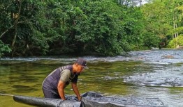 树林里的结婚纪念日