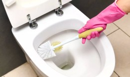 清洁风扇揭示了在短短五分钟内清除水垢的“神奇”方法