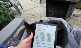 36款值得在黑色星期五大肆宣传和销售的TikTok产品