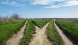 数学和商业发展：为什么这两种不同的技能在人工智能世界很重要