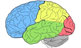 人工智能可以预测脑癌患者的生存