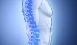 NBHA赞扬FDA继续研究双膦酸盐治疗骨质疏松症