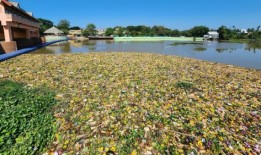 由于年轻一代失去兴趣，制作传统泰国灯笼的艺术正在消亡