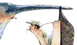 毒蛇攻击：前20名鱼标题比赛获胜者是“剑的乐趣”