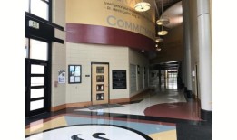 麦卡多里中学副校长被捕，被停职