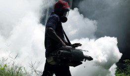 斯里兰卡的登革热病例有所上升，12月报告的病例超过1万例