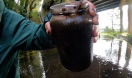 英国广播公司发现，有毒的道路径流没有受到监控