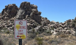 游客被指控用彩弹破坏约书亚树国家公园