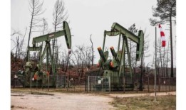 欧佩克首席执行官：能源转型没有“单一解决方案