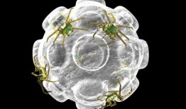 简单的尿液测试使用纳米技术来检测危险的血液凝固