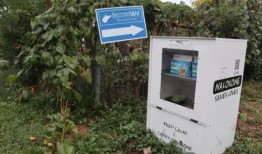 旧纸盒被用来分发过量服用的逆转药物纳洛酮