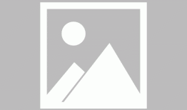 “我们一生中最重要的城市塑造项目”：纳税人对兰利公园总体规划有发言权