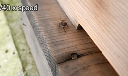 蜜蜂一拍翅膀，入侵的蚂蚁就飞走了