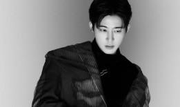 这场音乐会本不应该发生的波兰球迷自己也为它而战