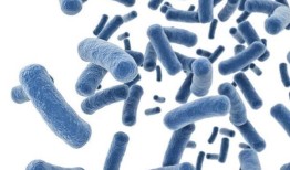 BioPlx的目标是控制和对抗耐抗生素超级细菌的崛起