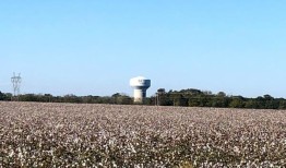 重新划分选区后，鲍德温县成为新国会选区的“中心”