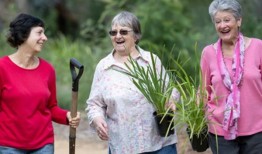 继续支持金斯敦的社区团体