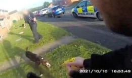 XL霸凌的主人敦促在英国禁令之前将狗登记在豁免名单上