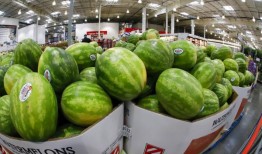 如何挑选完美的西瓜？大卫·霍洛威有提示和食谱