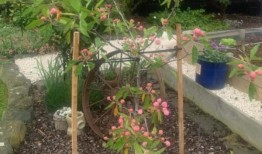 社区希望劳伦·迪卡森的判决将有助于康复过程