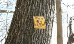 人们“被大脚怪吓坏了”，想要“猎杀”它——信徒们不高兴