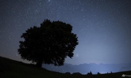 图片：英仙座流星雨在全球闪耀