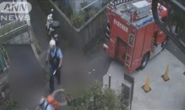 丰田因认证丑闻重启三款车型生产