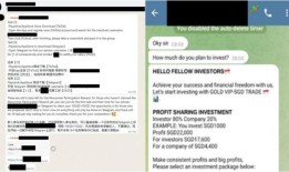 诈骗受害者被添加到提供工作、投资机会的聊天群中;今年至少损失了680万新元