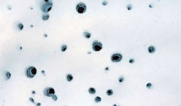 火星冰层下可能存在生命吗？研究提出可能性