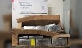 布兰普顿一名男子在萨尼亚地区边境被查获52公斤疑似可卡因后被起诉