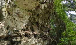 一幅51200年前的洞穴壁画可能是世界上最古老的叙事艺术