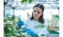 火星冰层下可能存在生命吗？研究提出可能性