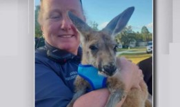 4个月大的袋鼠从佛罗里达州的家中跳了出来，与人争吵