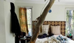 新南威尔士州风暴季节预报显示：“为各种天气做好准备”