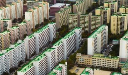 在过去的五年里，未成年人在韩国购买了近3000套住房