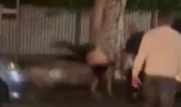 一名男子被控与NRL记者扭打的视频在网上传播