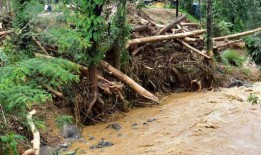 持续的降雨在喀拉拉邦造成了广泛的破坏