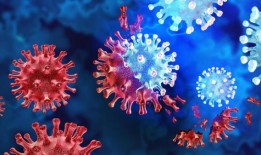 墨尔本远郊爆发军团病，第二人死亡