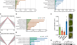 溶磷脂酰乙醇胺通过促进ja信号和ros稳态来触发对坏死细胞的免疫