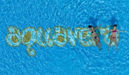 泳池里的爪子：AquaVera的筹款活动