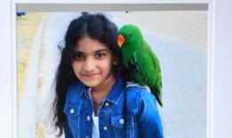 法庭称，在这名8岁女孩死亡前，医院对多次求助不予理睬