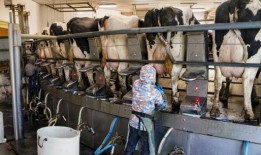 禽流感正在蔓延为什么没有更多的人接受检测？