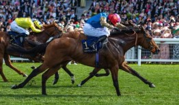 沃斯南竞速声称在皇家阿斯科特第四次获胜，因为海特姆在Gr3泽西赌注中获胜